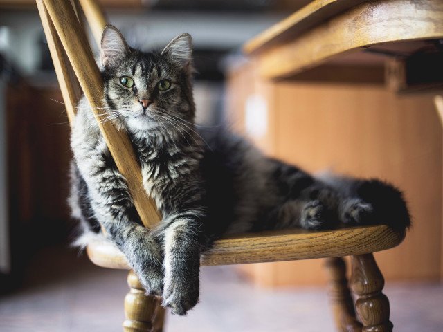 Nu, nu ma misc din locul preferat