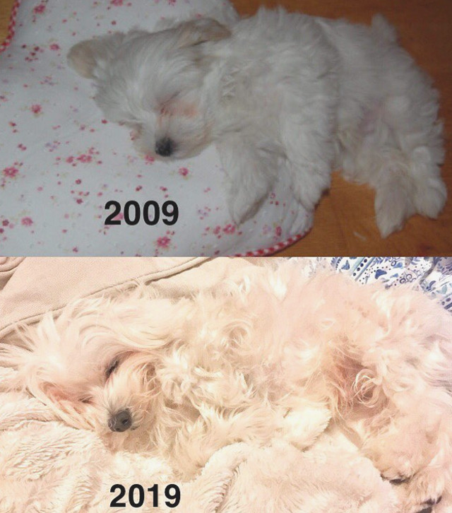 Pentru unii nu s-a schimbat nimic