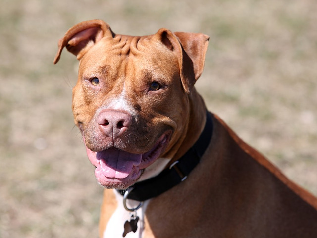 Nimic nu se compara cu un zambet din suflet