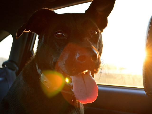 O imagine valoreaza cat o mie de cuvinte