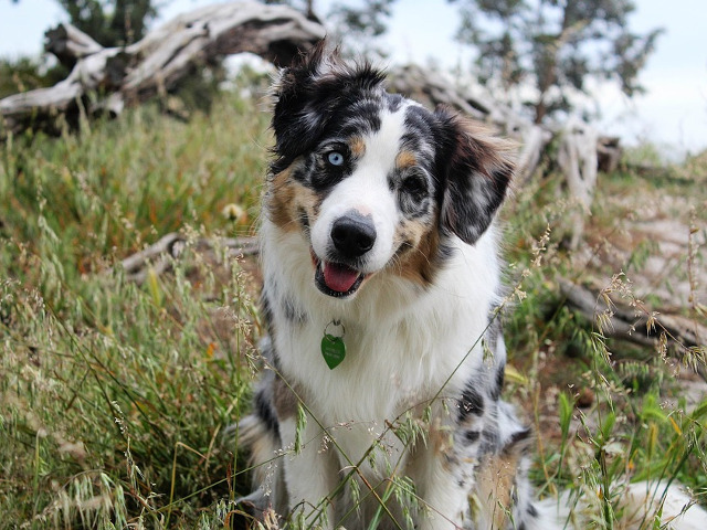 Aproape ireal, dar adevarat