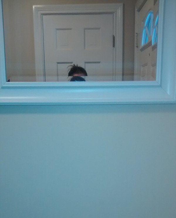 O femeie scunda si-a rugat sotul sa ii puna o oglinda la care sa ajunga. Rezultatul: