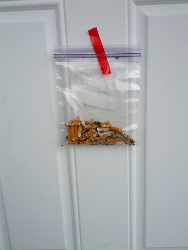 Ce se intampla atunci cand ignori rugamintile vecinului de a-ti aduna chistoacele