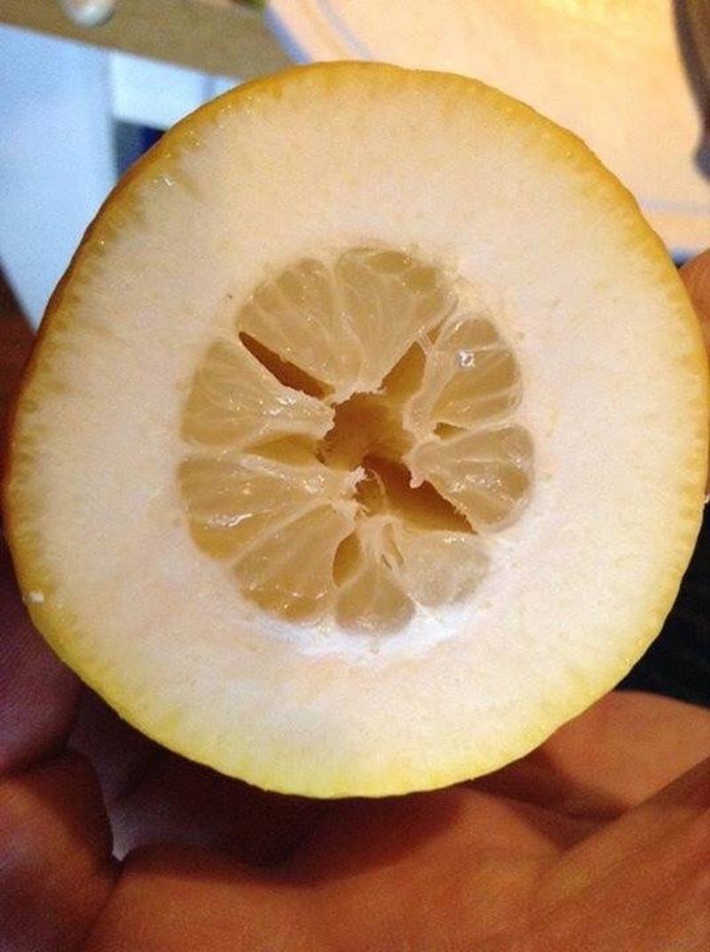 Cand vrei sa faci o limonada si nimeresti o lamaie nu chiar zemoasa