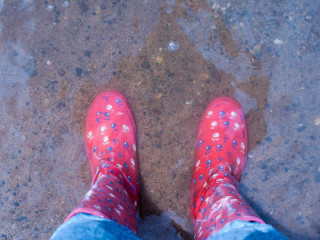 Porti pantofi/ papuci de cauciuc