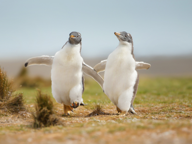 Cum sa nu iti faca ziua mai buna?