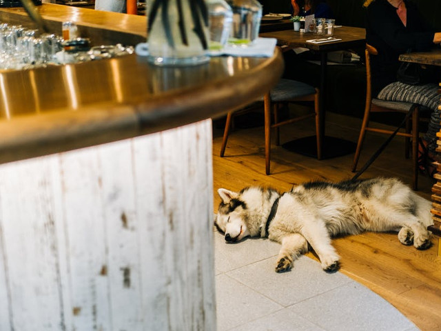 Munca este obositoare, nu-i asa?