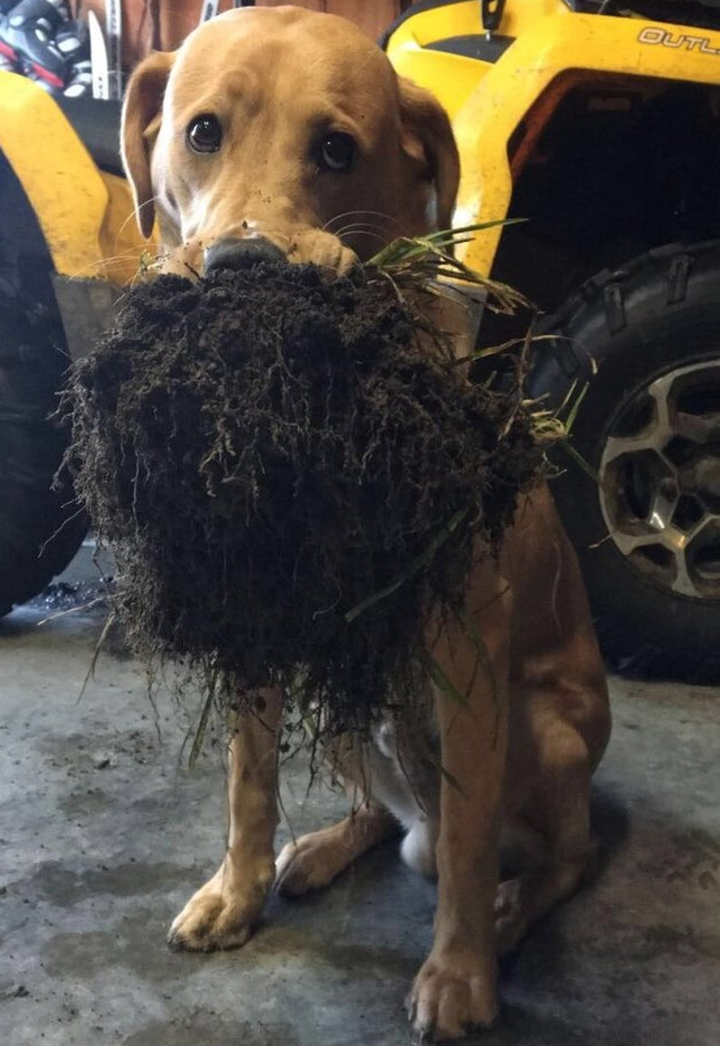 Privirea care spune totul