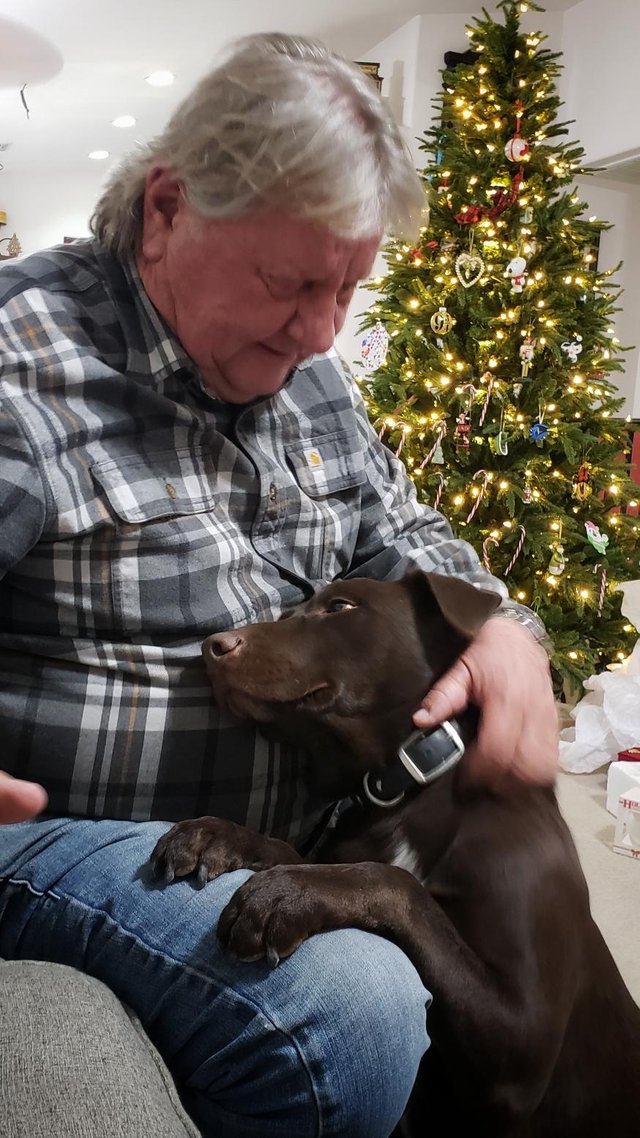 Asa arata adevarata fericire