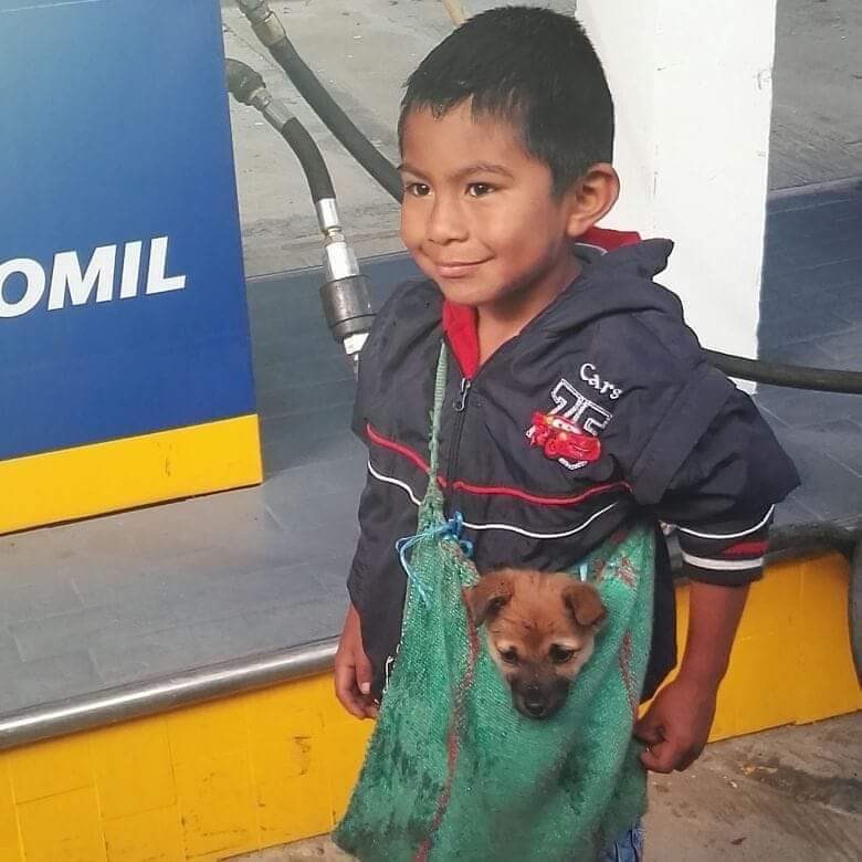 Se bucura de ceea ce are