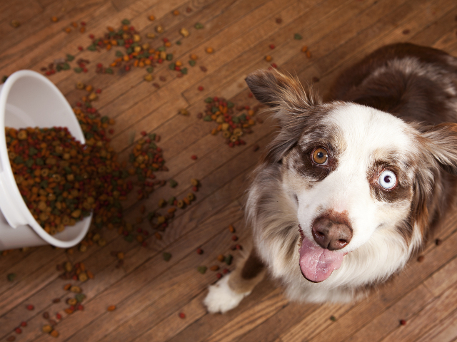 Incidente de acest tip se mai intampla. Sunt inevitabile, nu?