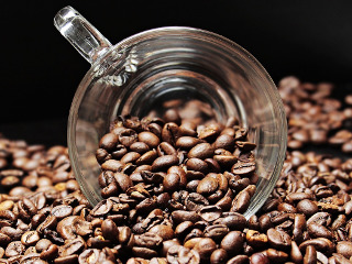 Cofeina poate provoca simptome grave pisicilor