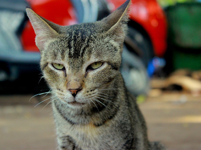 E evident ca ceva a suparat-o...