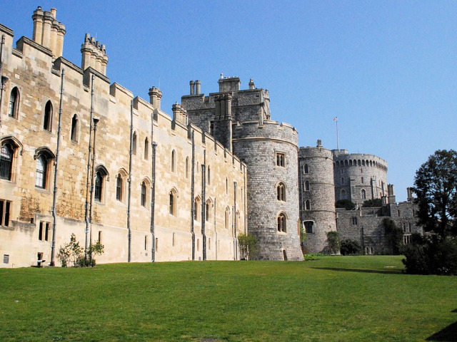 A fost o invazie cu paianjeni rari la Castelul Winsdor