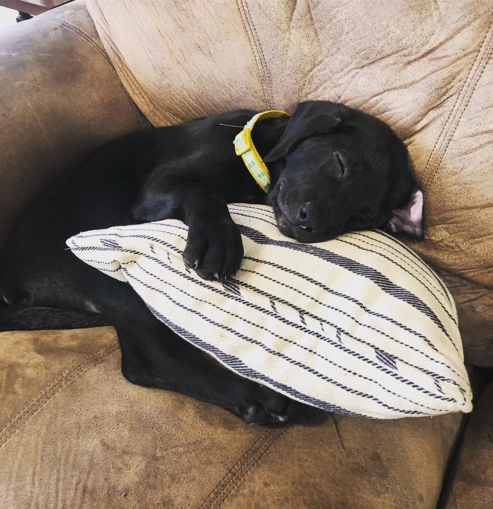 Pernele pot fi un prieten foarte bun