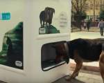In Istanbul, Turcia, o masina le ofera cainilor comunitari din oras apa si hrana in schimbul reciclarii PET-urilor