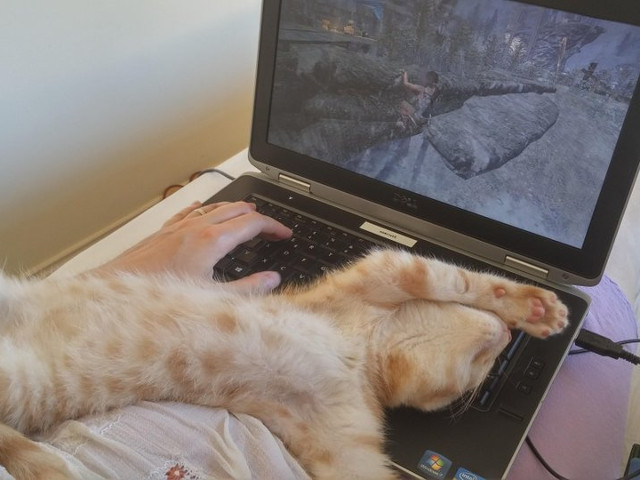 Cu adevarat drama la nivel inalt