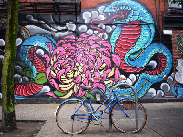 Desprins dintr-o lume fantastica, Brooklyn, New York