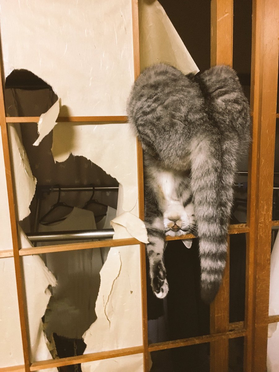 Acel moment cand energia ta este la nivelul 0