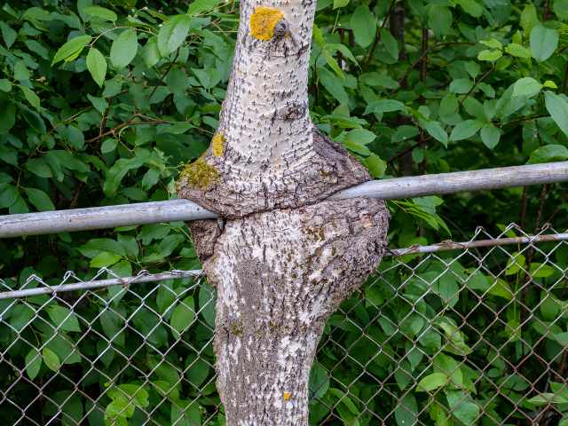 Din categoria: lucruri bizare vazute in vacanta