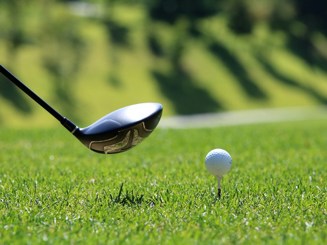 Iubeste sa joace golf