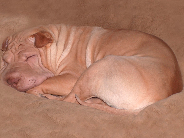 Cum sa nu te topesti?