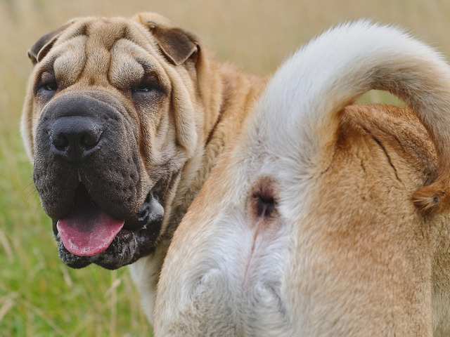 Luat prin surprindere