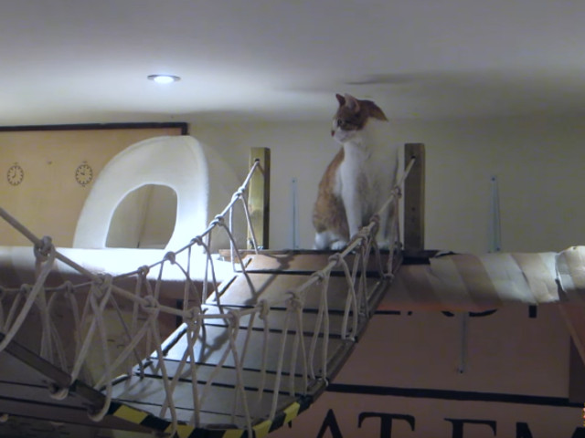 Spatiul deschis cu ajutorul donatorilor in Londra