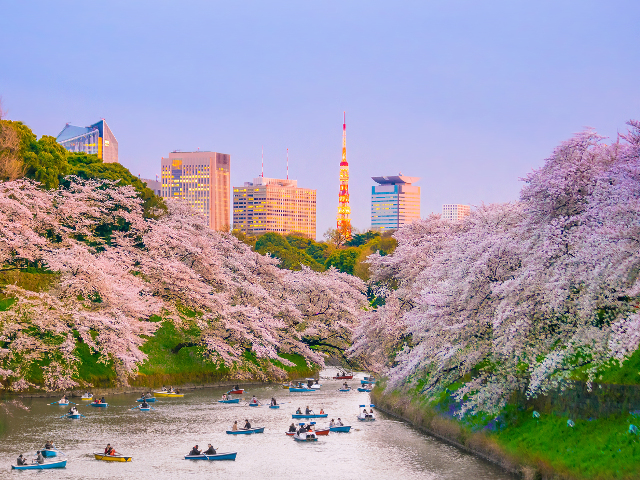 Capitala Tokyo: Parcul Chidorigafuchi si Canalul Nakameguro pe raul Meguro