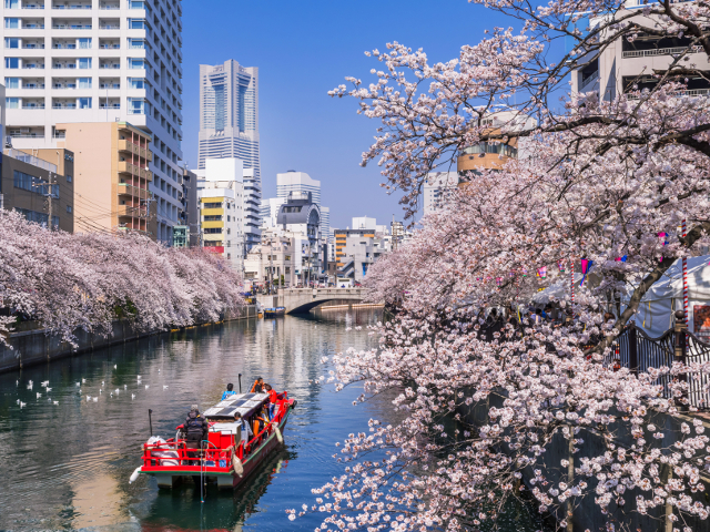 Yokohama, al doilea oras ca marime (dupa Tokyo) din Japonia
