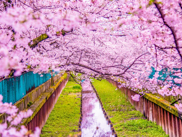 Kawasaki, prefectura Kanagawa