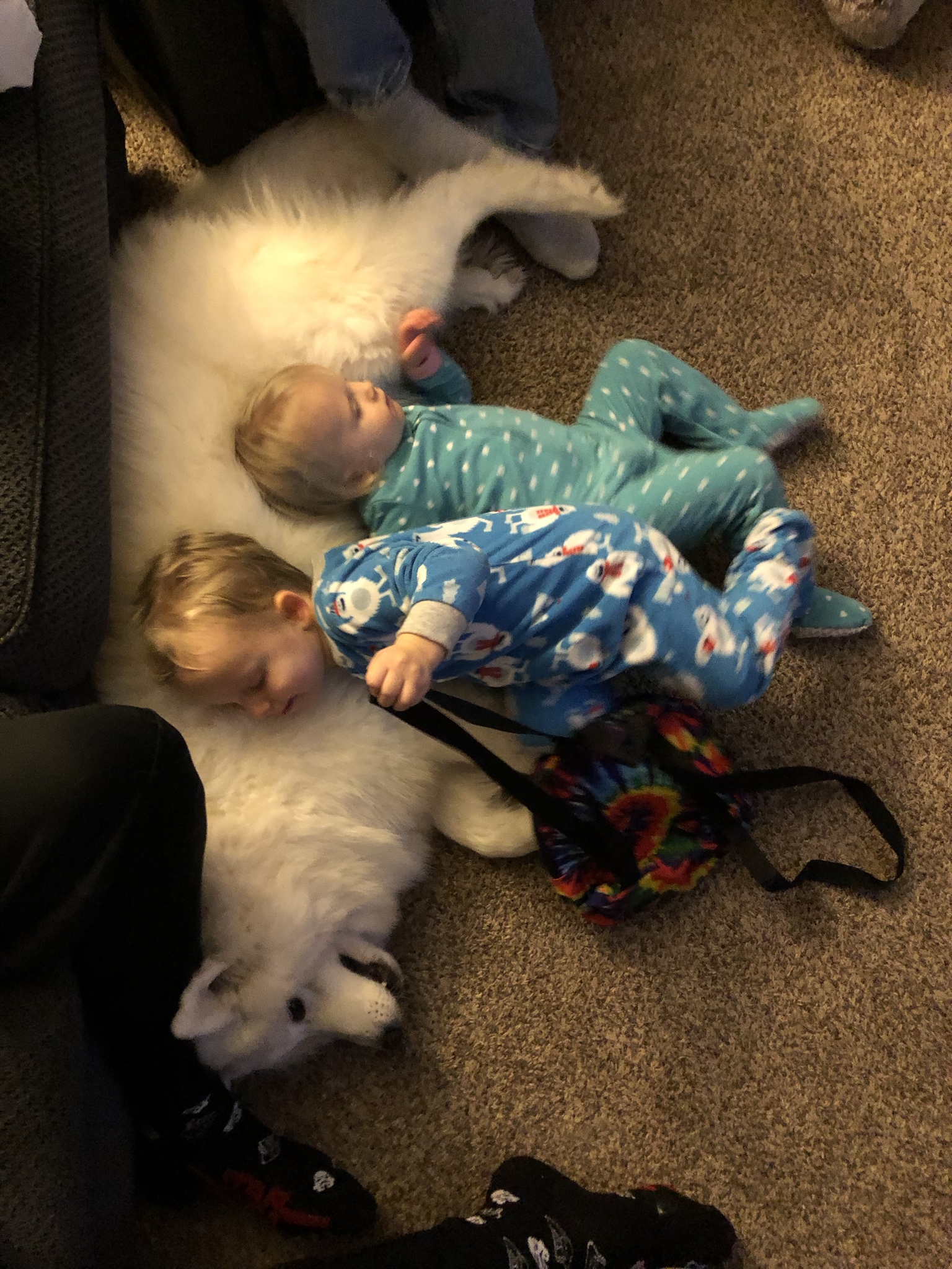 Ce iti mai trebuie pat cand ai aceasta pufosenie langa tine?