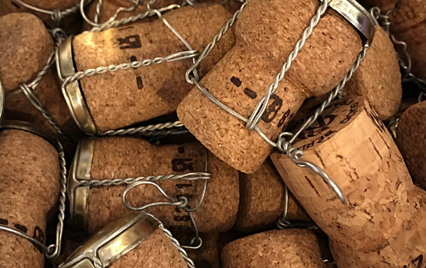 Bucata de sarma care tine un dop (de sampanie, de exemplu), are denumirea de agrafa