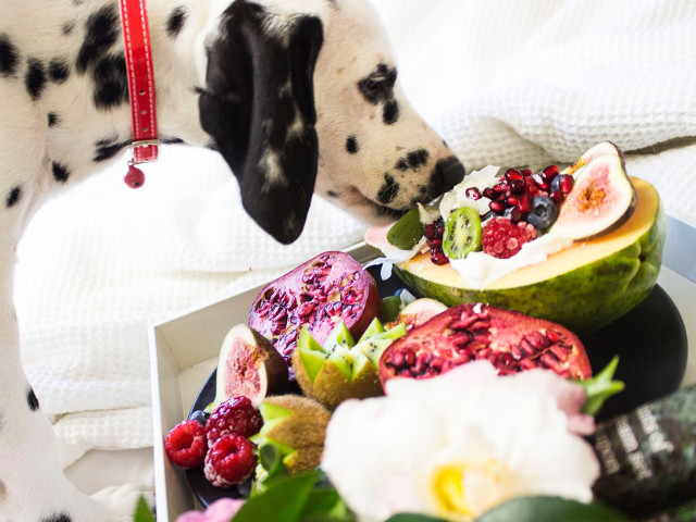 Adora sa cerceteze tot ce ii inconjoara