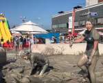 Festivalul de namol din Boryeong, in Coreea de Sud