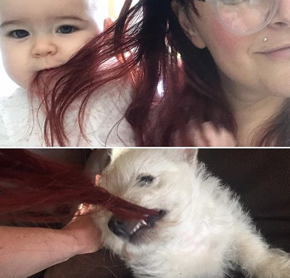 Cam asa se intampla cand ai copil mic si caine, in acelasi timp