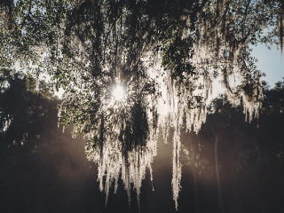 Ce sa faci pentru prosperitate