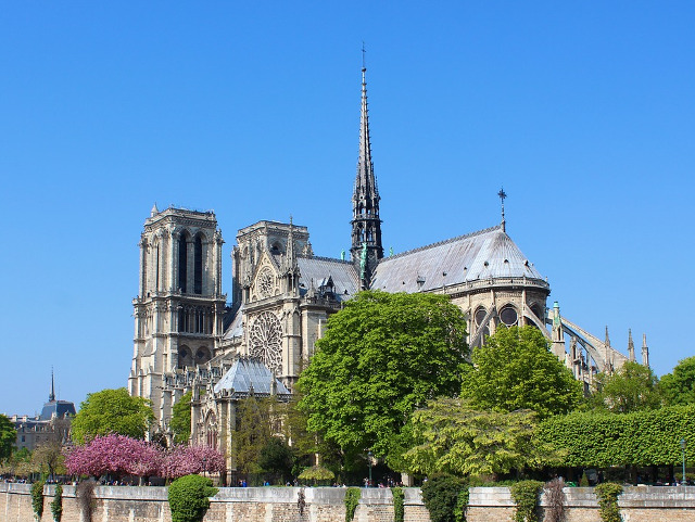 Are o "padure" pe acoperis