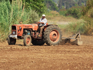 Femeile nu au voie sa lucreze miercuri