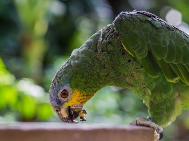 Trebuie sa iti dai silinta