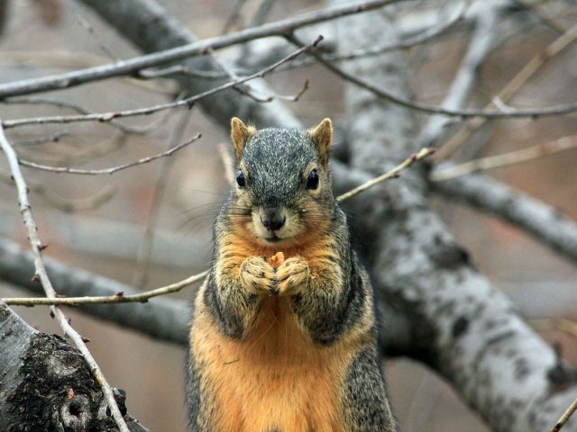 Uimirea i se citeste pe chip