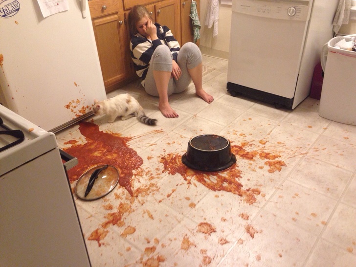 Cel putin pisica e fericita