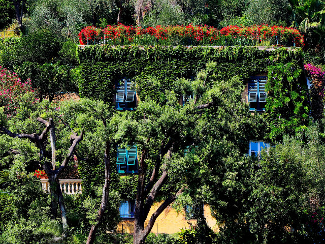 Verdeata, multa verdeata