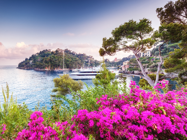 Locul in care parca s-au intersectat doua lumi: vechiul sat pescaresc portuar si statiunea luxoasa, in care vin celebritati de la Hollywood