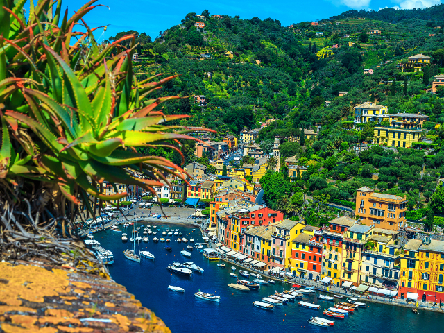 Priveliste din Castelul Brown