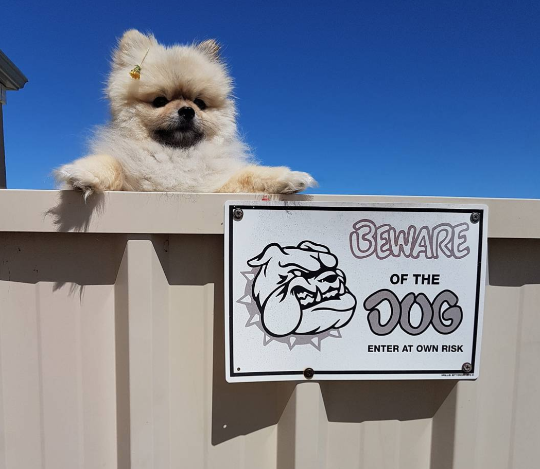 De-a dreptul amuzant