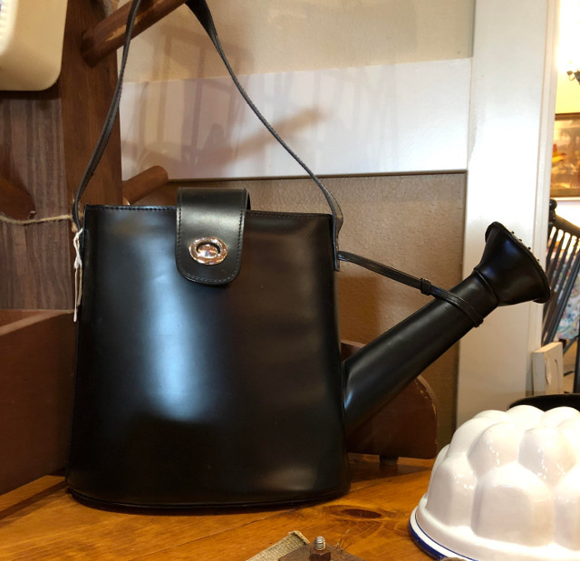 Geanta in forma de stropitoare. Utila sau nu?