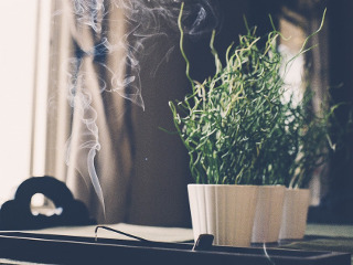 Cum se alunga duhurilor rele