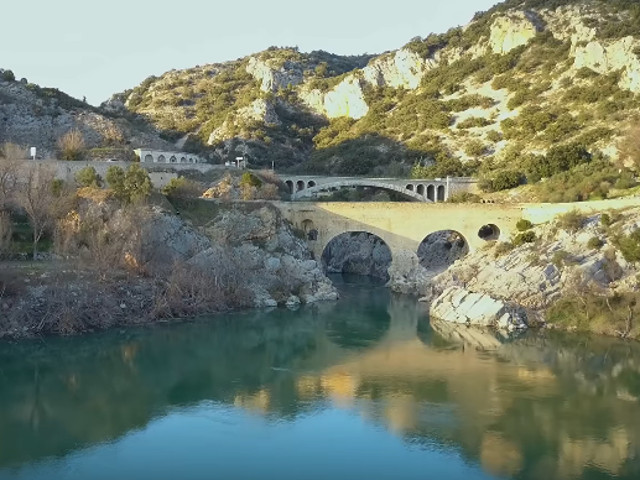 O femeie din Australia s-a casatori cu un pod