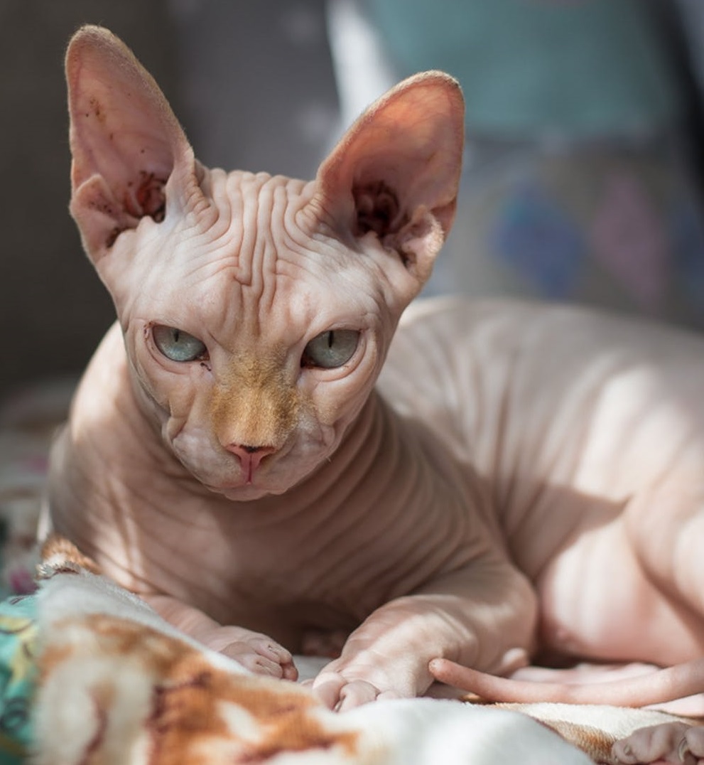 Prea suparata pentru a putea fi multumita